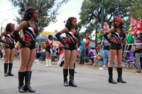 2014-Krewe-of-Iris-11322