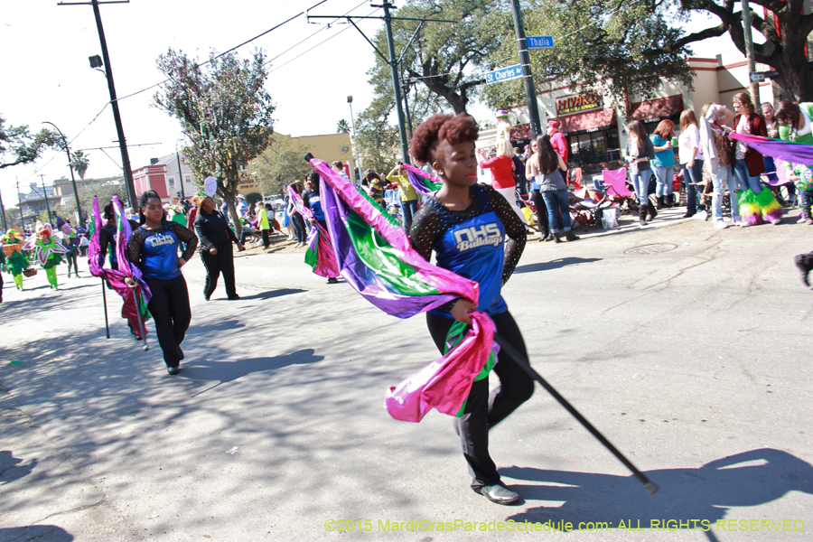 Krewe-of-Iris-2015-17118