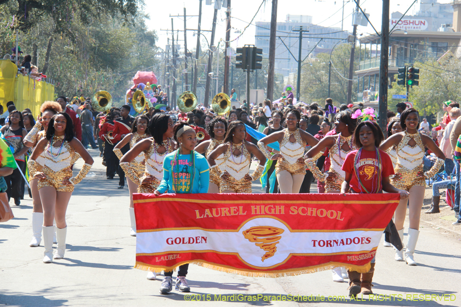 Krewe-of-Iris-2015-17126