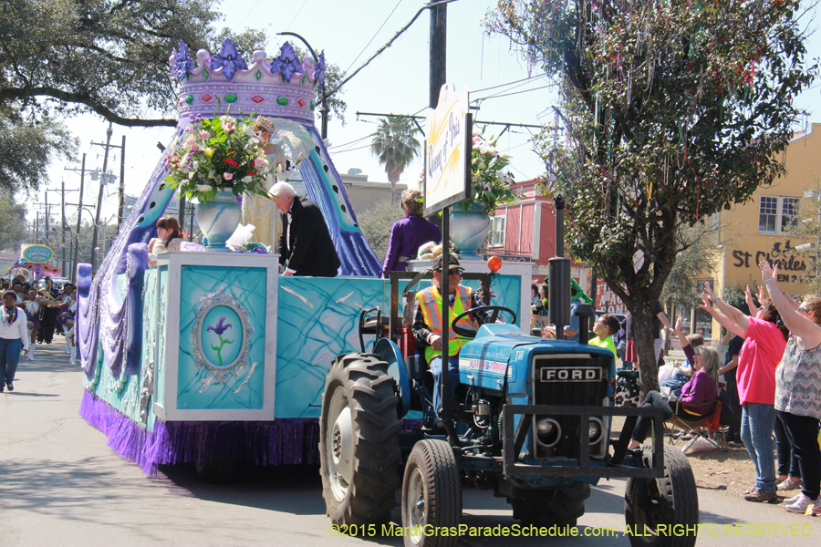 Krewe-of-Iris-2015-17131