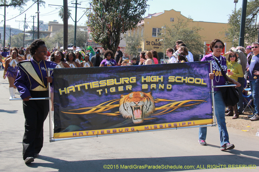 Krewe-of-Iris-2015-17134