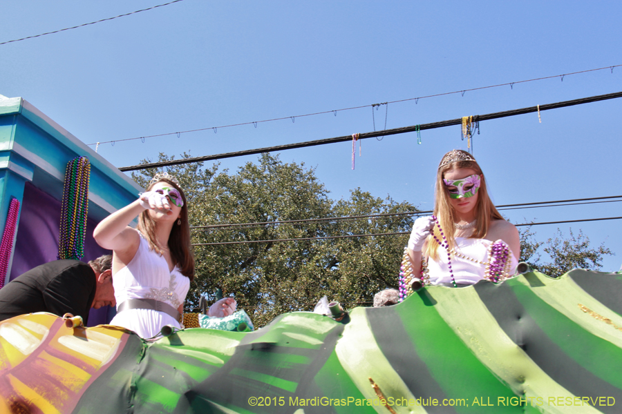 Krewe-of-Iris-2015-17141