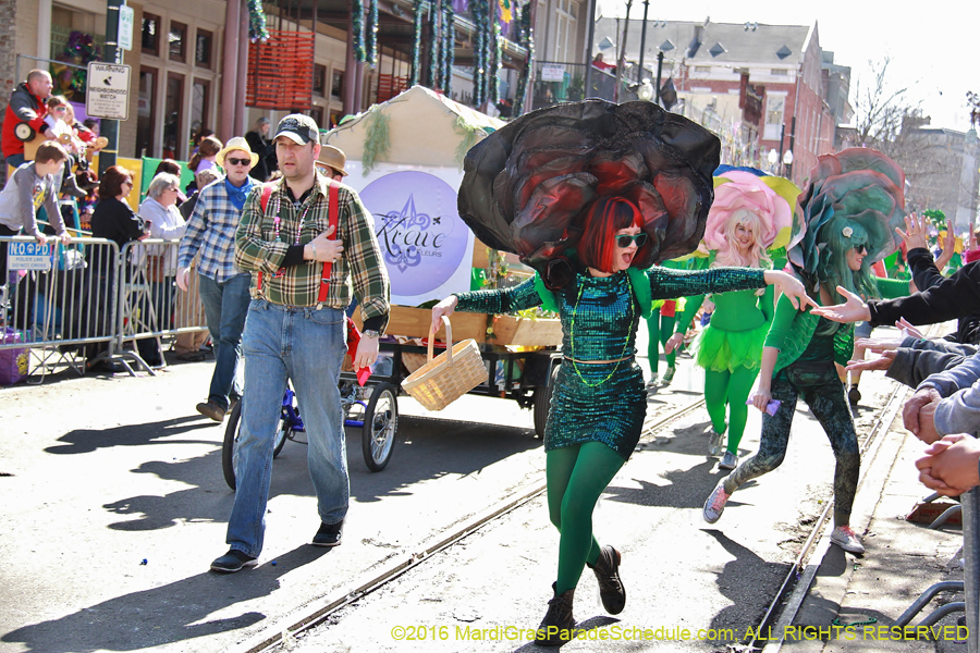 2016-le-Krewe-of-Iris-009222