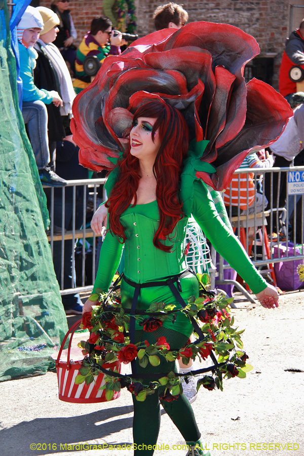 2016-le-Krewe-of-Iris-009230