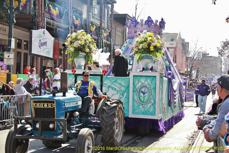 2016-le-Krewe-of-Iris-009259