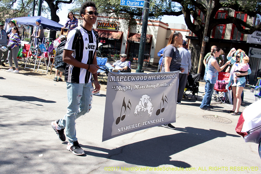 Krewe-of-Iris-2017-08058