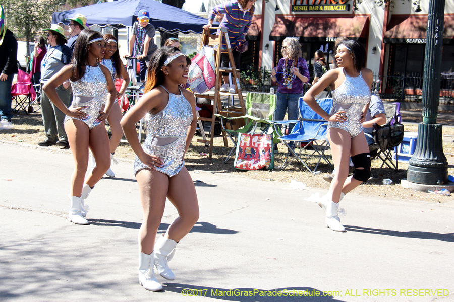 Krewe-of-Iris-2017-08059