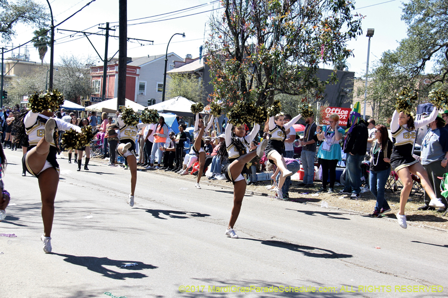 Krewe-of-Iris-2017-08083