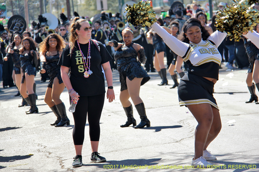 Krewe-of-Iris-2017-08084