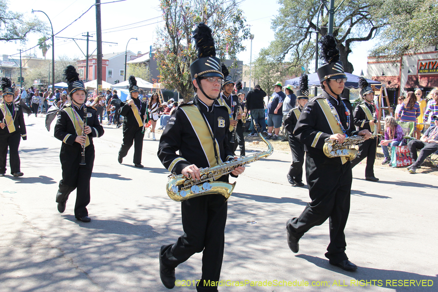 Krewe-of-Iris-2017-08091