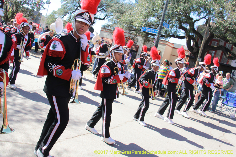 Krewe-of-Iris-2017-08104