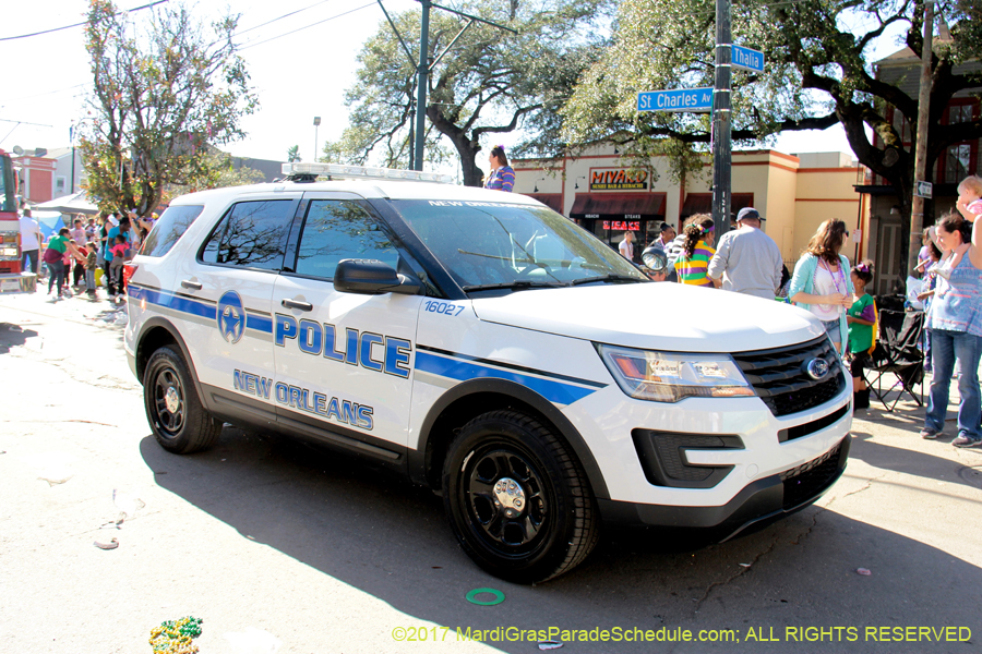 Krewe-of-Iris-2017-08446