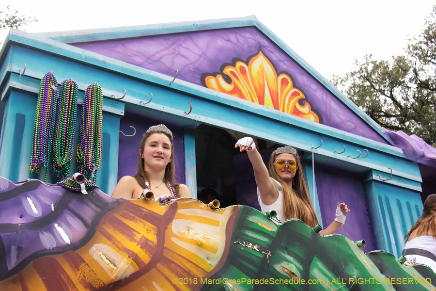 2018-Krewe-of-Iris-00005450