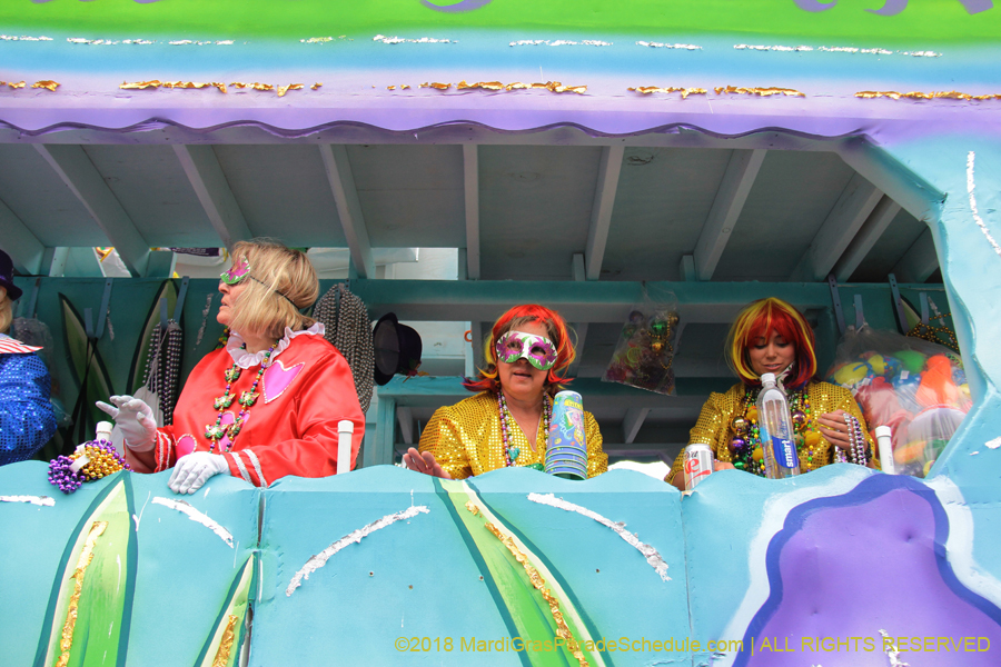 2018-Krewe-of-Iris-00005467