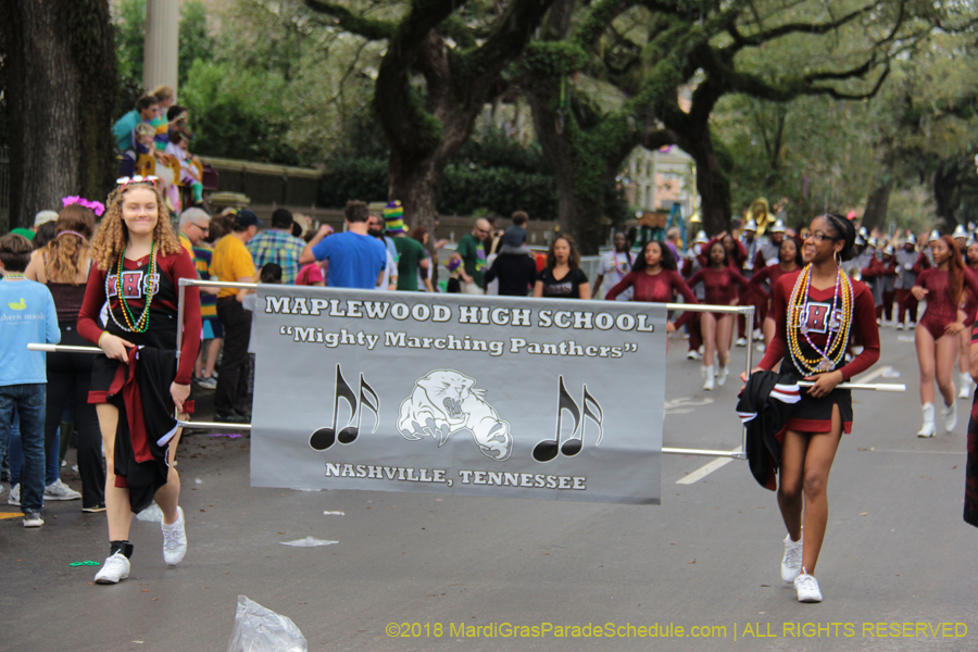 2018-Krewe-of-Iris-00005470