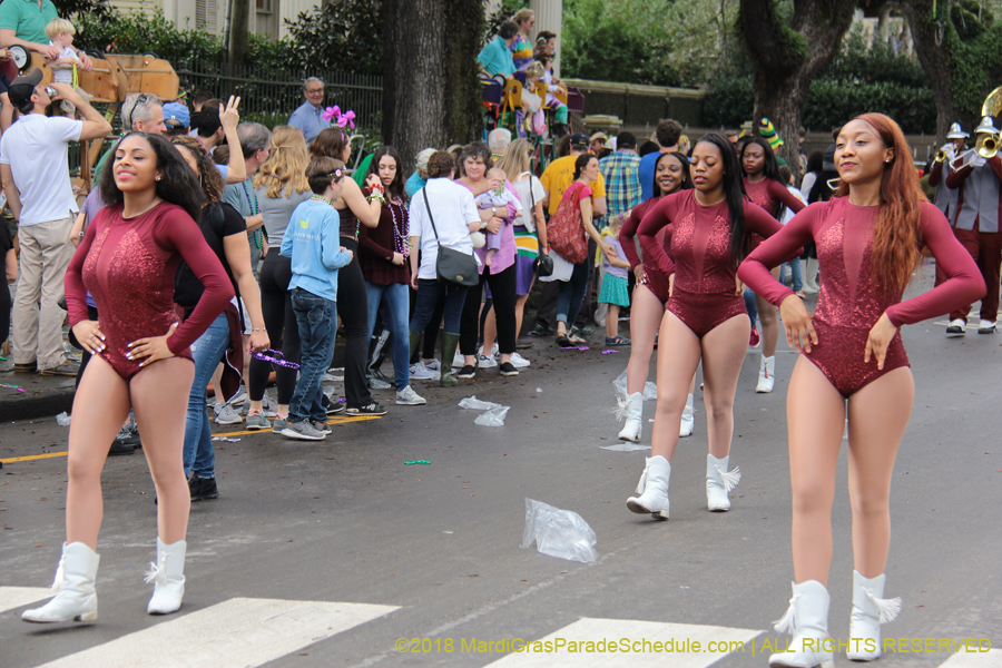 2018-Krewe-of-Iris-00005471