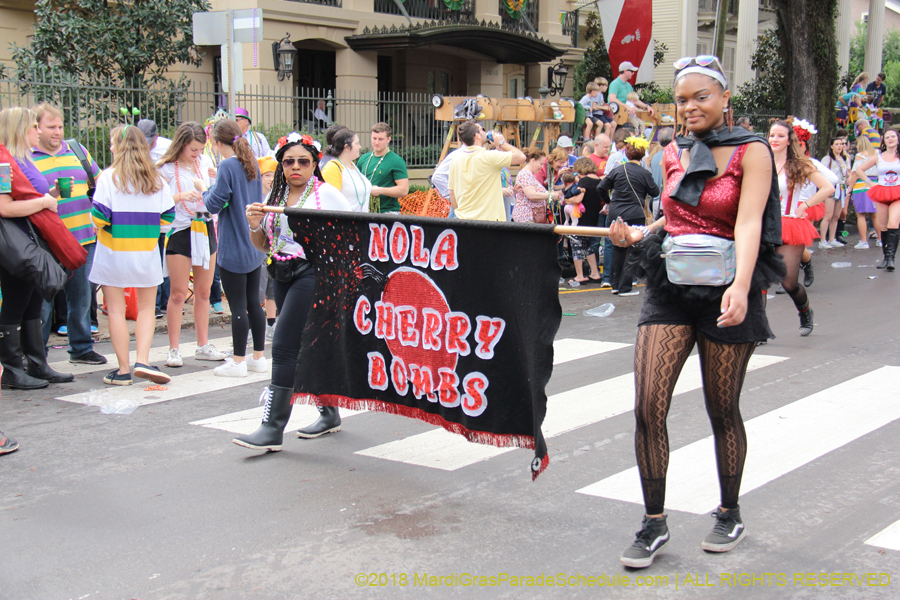 2018-Krewe-of-Iris-00005488