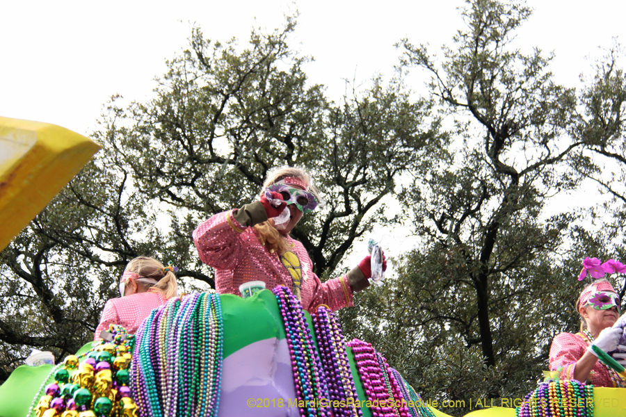 2018-Krewe-of-Iris-00005492