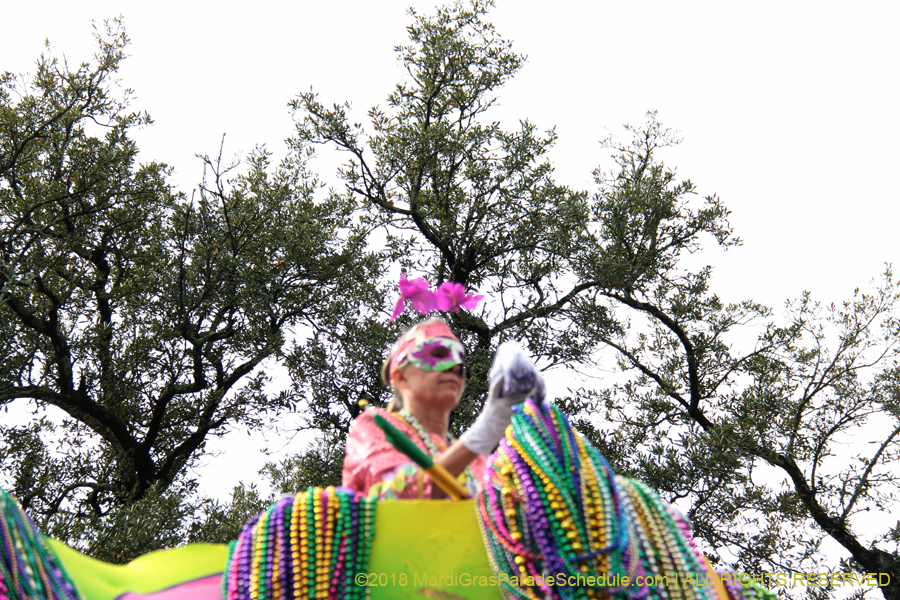2018-Krewe-of-Iris-00005493