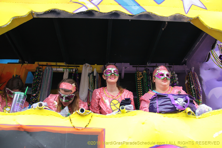 2018-Krewe-of-Iris-00005495