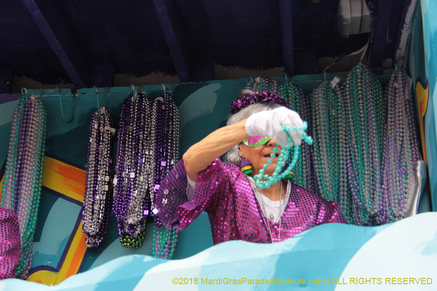 2018-Krewe-of-Iris-00005510