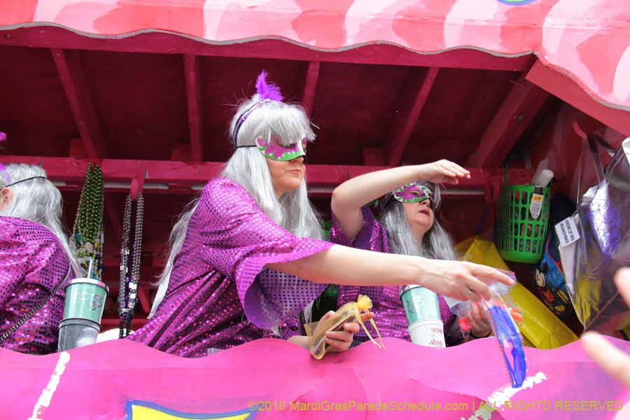 2018-Krewe-of-Iris-00005515
