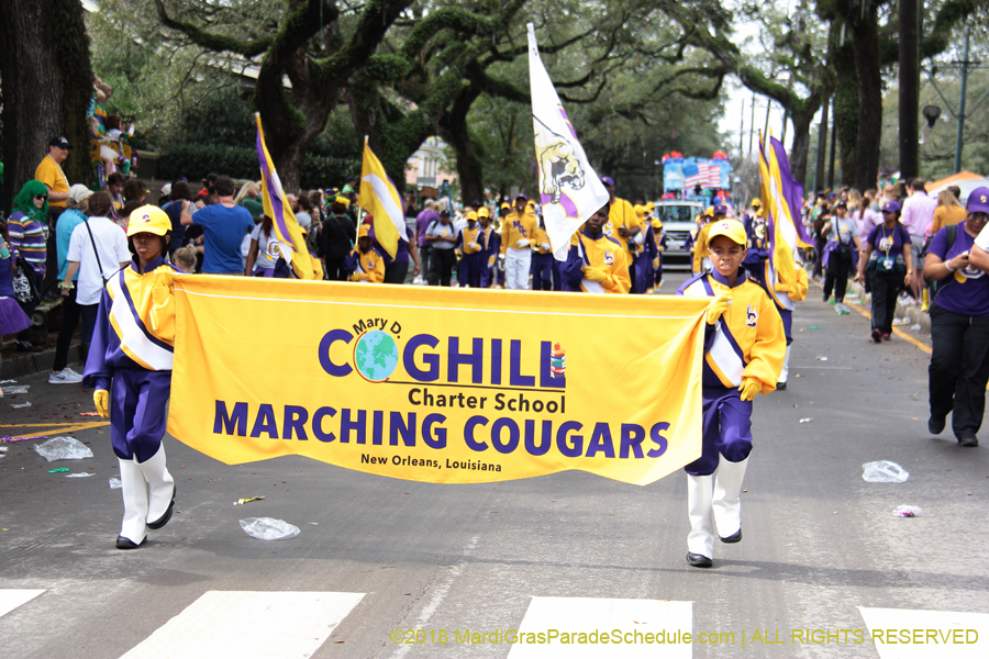 2018-Krewe-of-Iris-00005516