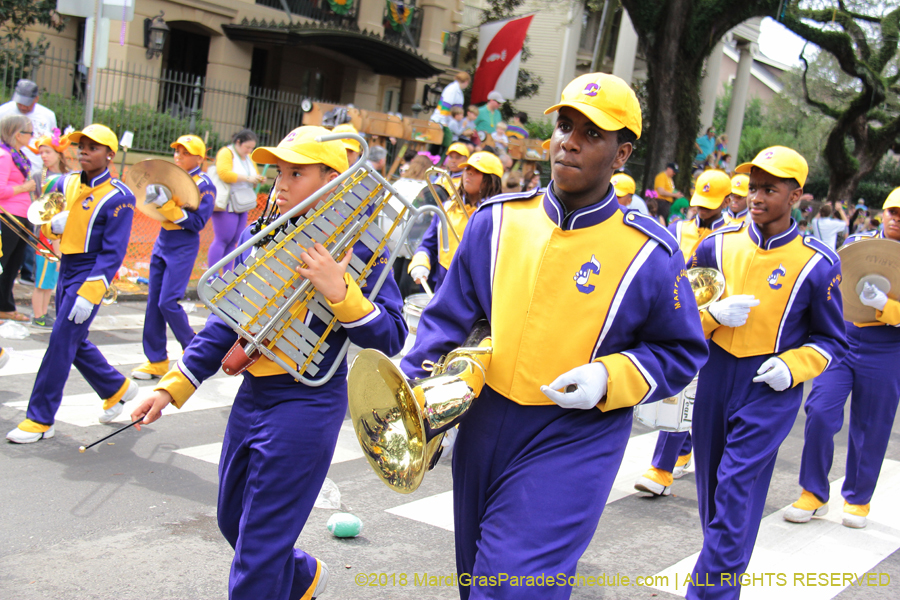 2018-Krewe-of-Iris-00005518