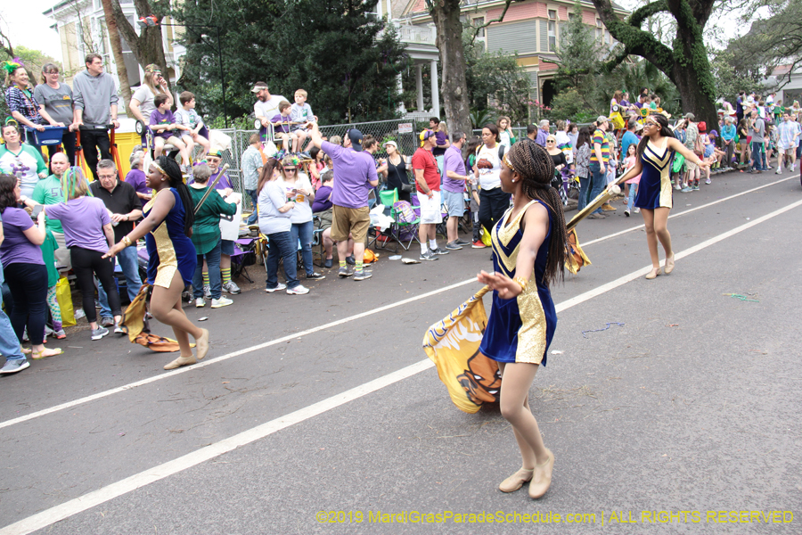 Krewe-of-Iris-2019-006178
