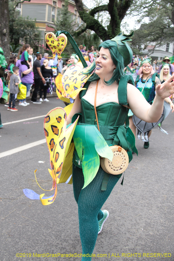 Krewe-of-Iris-2019-006180
