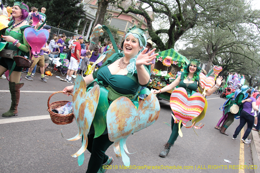 Krewe-of-Iris-2019-006182