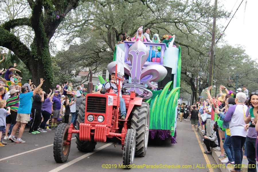 Krewe-of-Iris-2019-006184