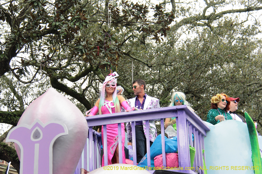 Krewe-of-Iris-2019-006185