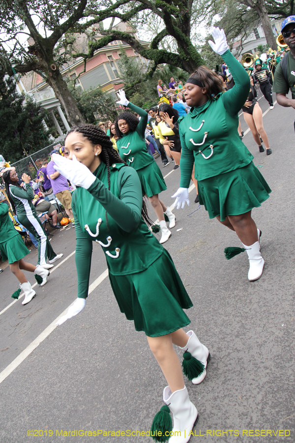 Krewe-of-Iris-2019-006189