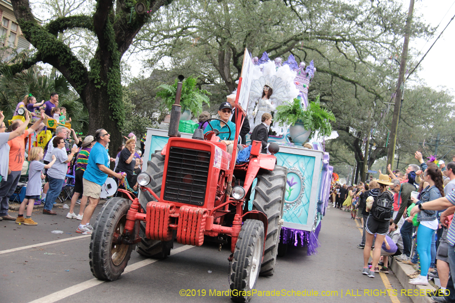 Krewe-of-Iris-2019-006191
