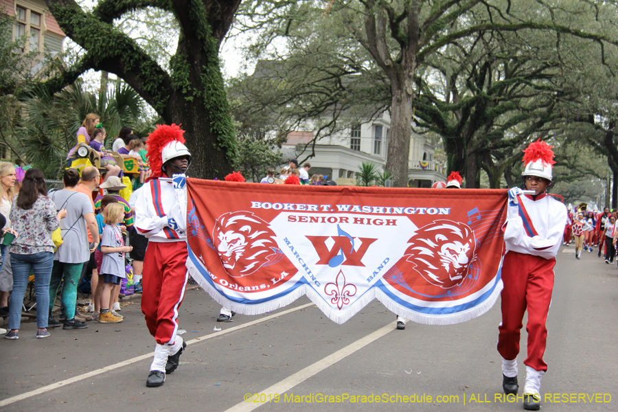 Krewe-of-Iris-2019-006203