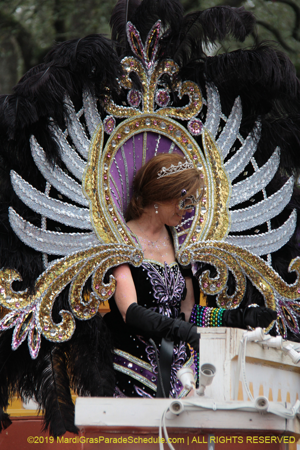 Krewe-of-Iris-2019-006209