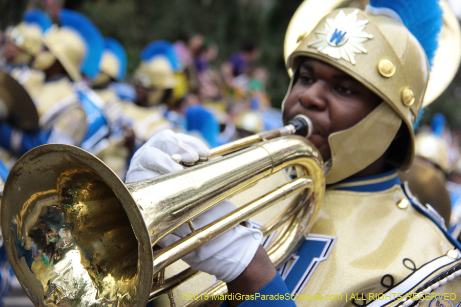 Krewe-of-Iris-2019-006216