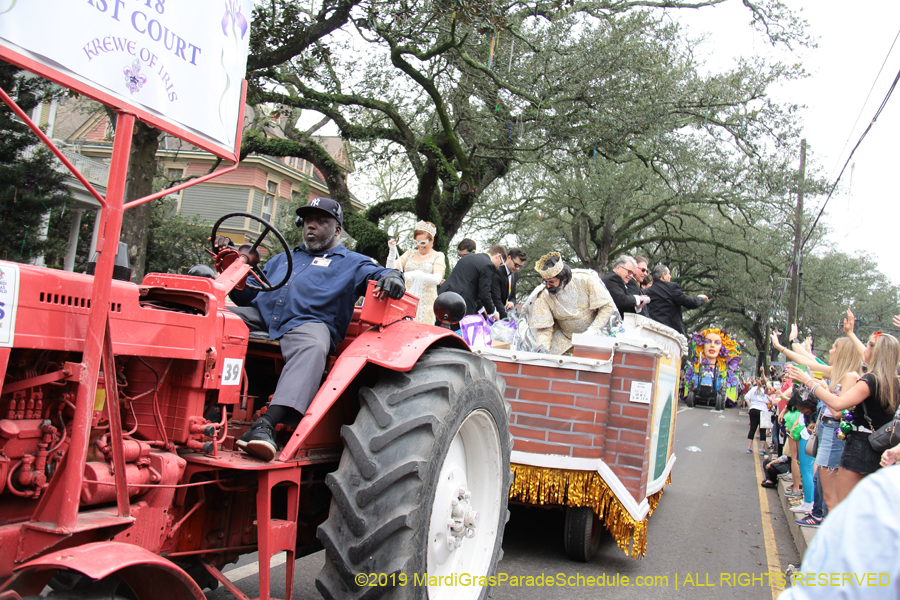 Krewe-of-Iris-2019-006222