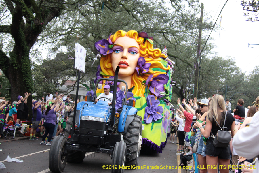 Krewe-of-Iris-2019-006224