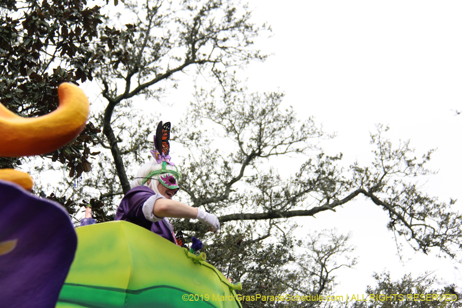Krewe-of-Iris-2019-006225