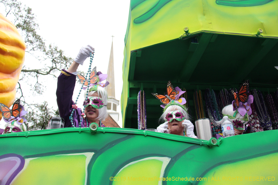 Krewe-of-Iris-2019-006227