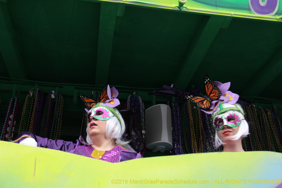Krewe-of-Iris-2019-006229