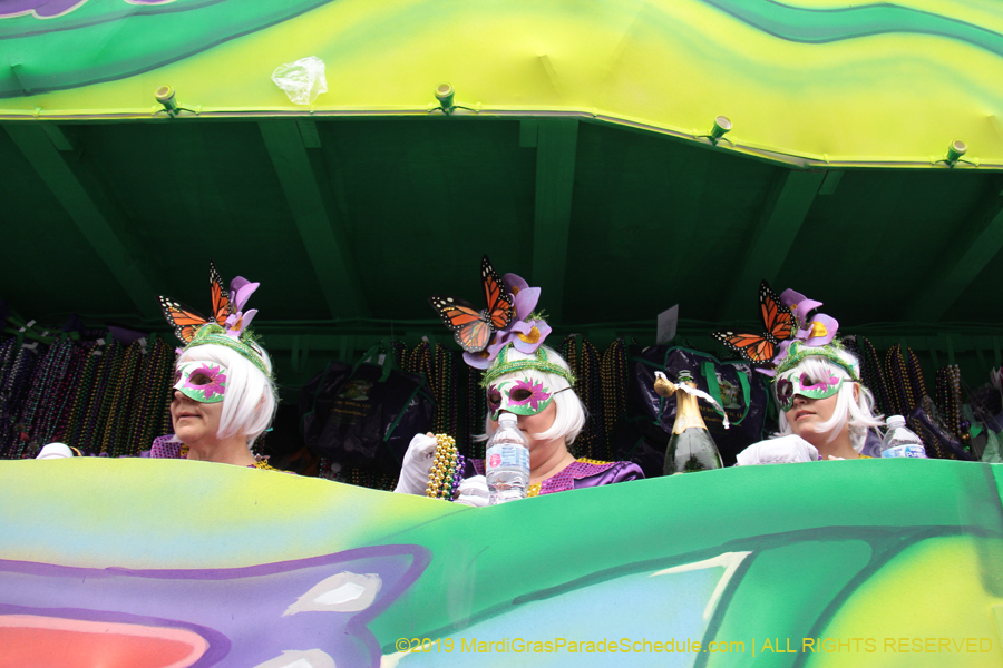 Krewe-of-Iris-2019-006230
