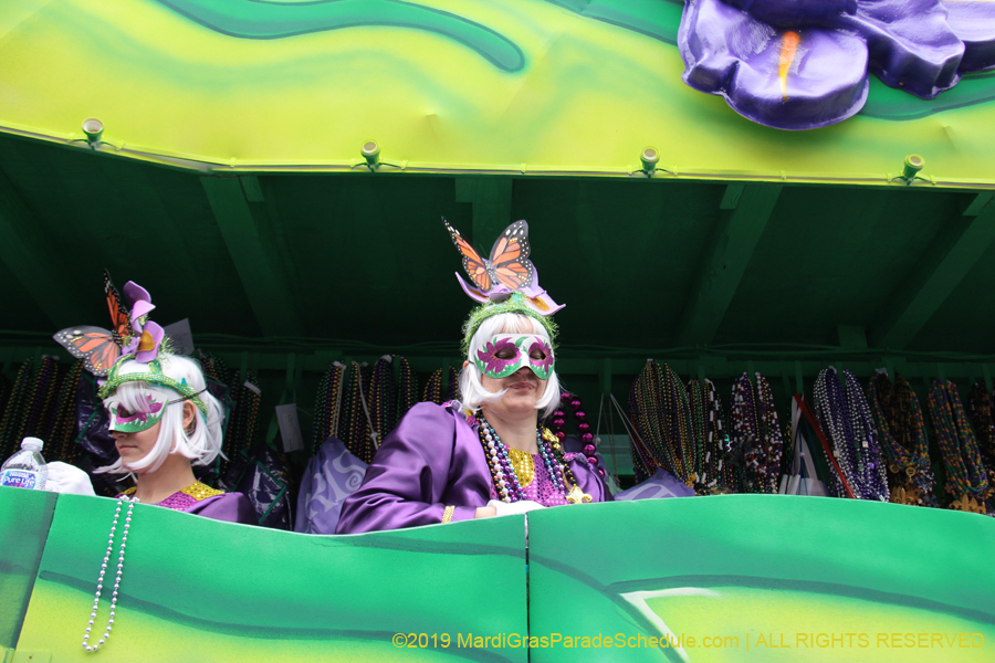 Krewe-of-Iris-2019-006231