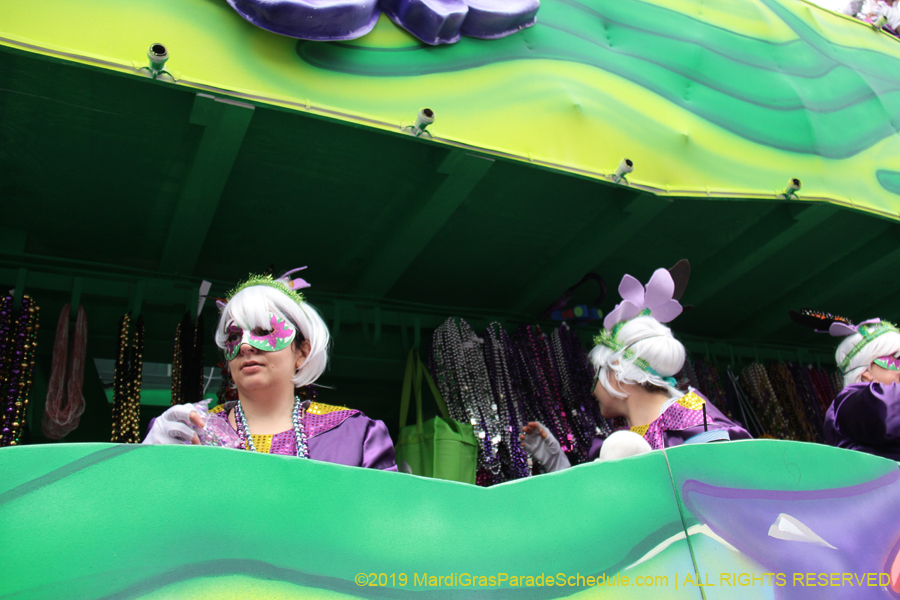 Krewe-of-Iris-2019-006233