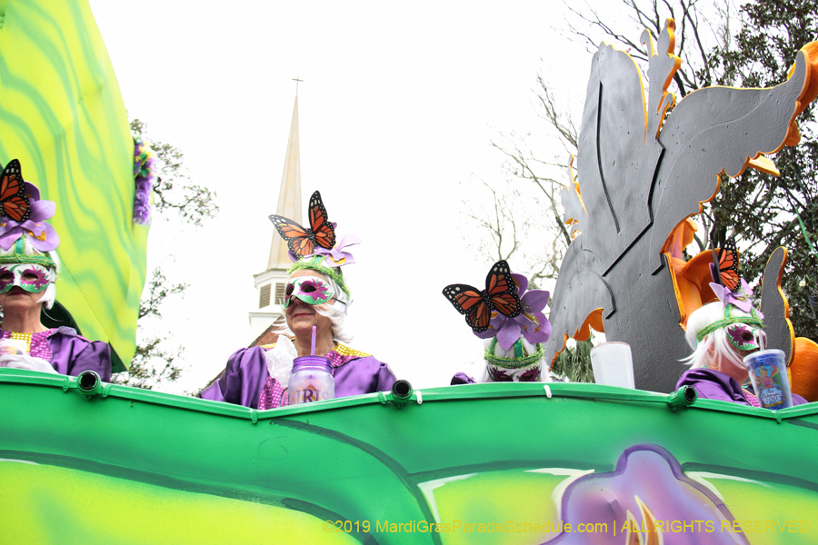 Krewe-of-Iris-2019-006237