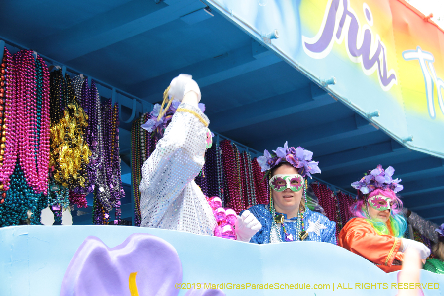Krewe-of-Iris-2019-006255