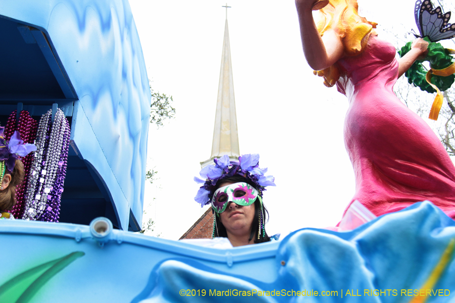 Krewe-of-Iris-2019-006259