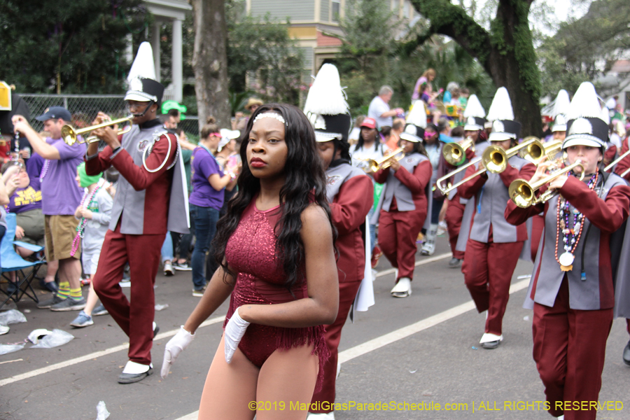 Krewe-of-Iris-2019-006311